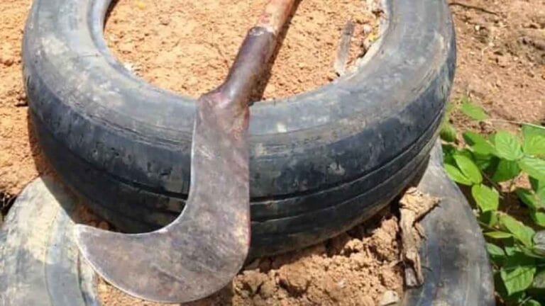 Polícia Militar apreendeu duas foices usadas na ameaça