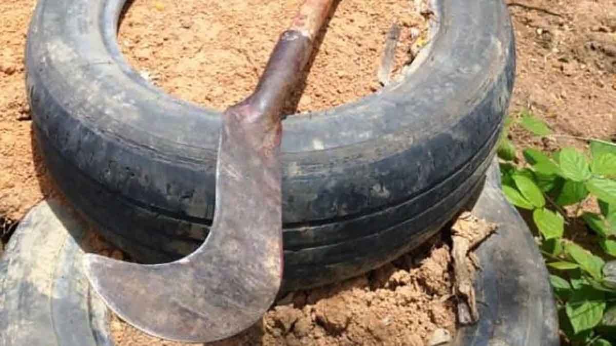 Polícia Militar apreendeu duas foices usadas na ameaça