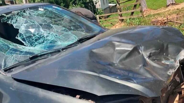 Local de acidente na PR-487 com carro e motocicleta após colisão em Cândido de Abreu