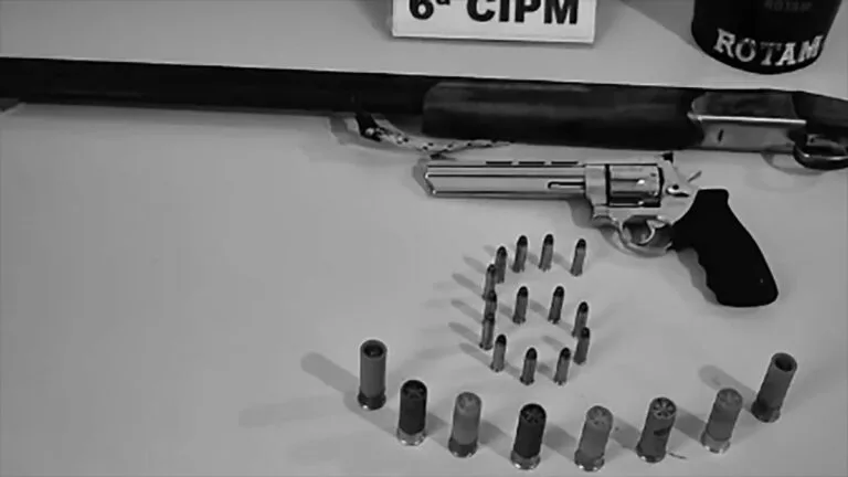 Armas apreendidas em operação de violência doméstica em Faxinal.