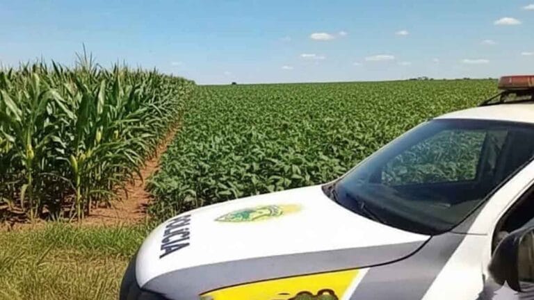 Viatura da Patrulha Rural da Polícia Militar em estrada rural de Jardim Alegre