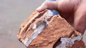 Ocorrência de roubo e agressãocom tijolo em área urbana de Apucarana