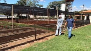 Área da Horta Escola em implantação no antigo IBC em Ivaiporã