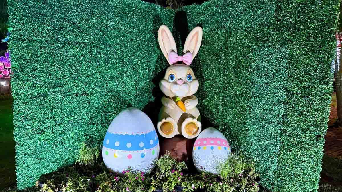 4fc9a061-480a-43da-ba02-5a9c3a4b87e2