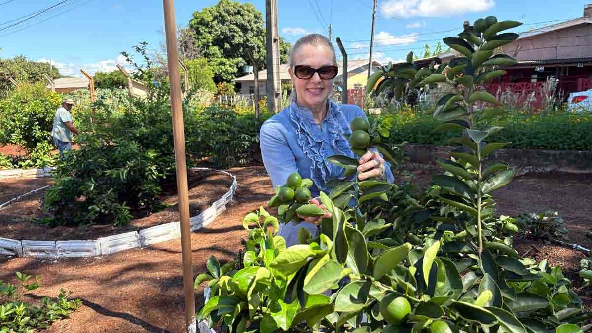 Área da Horta Escola em implantação no antigo IBC em Ivaiporã