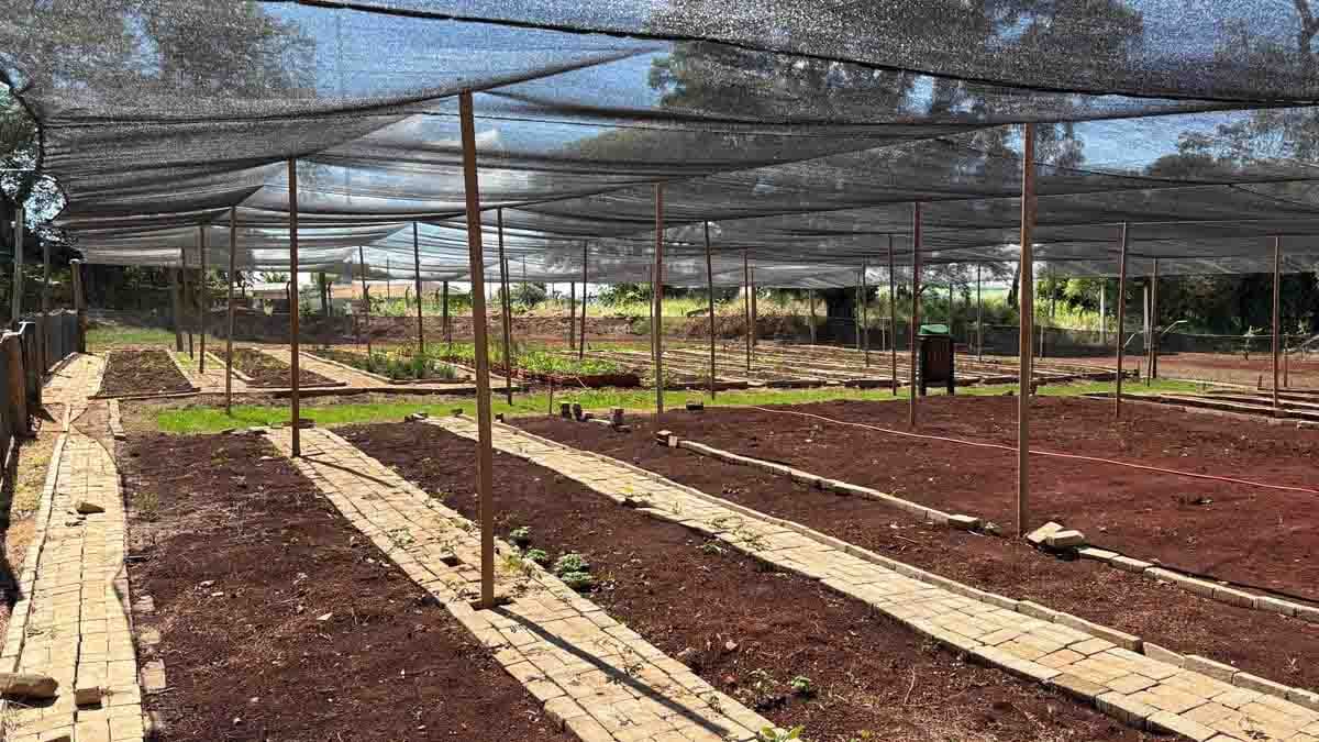 Área da Horta Escola em implantação no antigo IBC em Ivaiporã