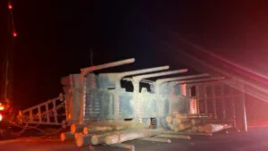 Caminhão com reboque carregado de toras tombou na PR-466, em Pitanga, e espalhou a carga na pista