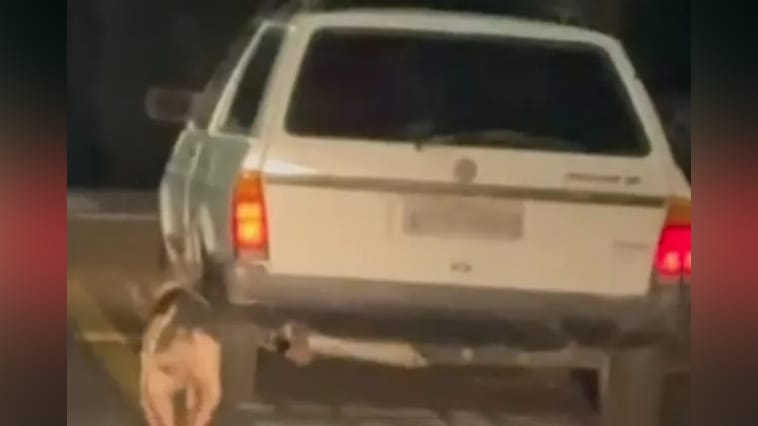 Polícia Militar atendeu caso de maus-tratos a animais em Mandaguari