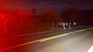 Trecho da PRC-466 em Ivaiporã após acidente com motocicleta e animal