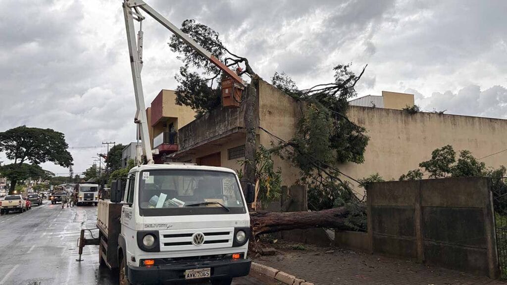 Forte chuva em Ivaiporã derruba árvores e três postes na Avenida Brasil Árvore de grande porte caída sobre imóvel na Avenida Brasil, perto do Hospital Maternidade, durante temporal em Ivaiporã/ Foto: Ivan Maldonado