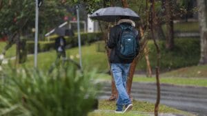 Pessoa caminha sob chuva com guarda-chuva em rua arborizada durante tempo instável