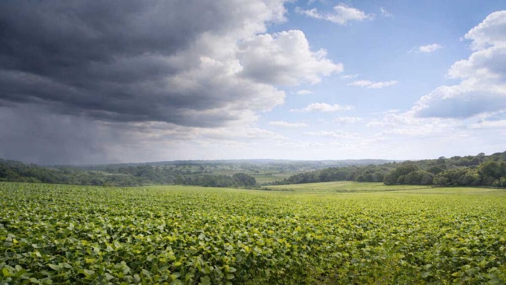 Céu nublado com chuva fraca no início do dia em Ivaiporã, com abertura de sol à tarde