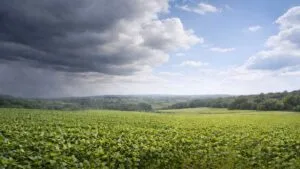 Céu nublado com chuva fraca no início do dia em Ivaiporã, com abertura de sol à tarde