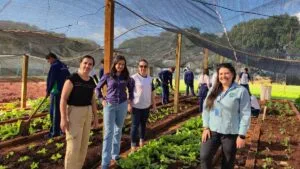Acadêmicos de Agronomia da Fatec Ivaiporã desenvolvem projeto de horta, pomar e jardinagem no Colégio Bento Mossurunga