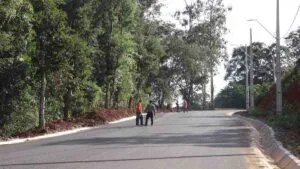Obras na Rodovia Nicolau Koltun e investimentos rurais marcam programação em Jacutinga, distrito de Ivaiporã.