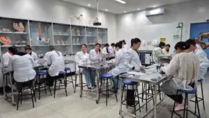 Curso de Enfermagem da Fatec Ivaiporã reúne oficinas práticas