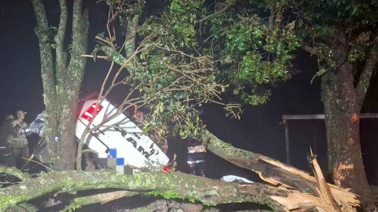 Dodge Ram destruída após bater contra árvore na PR-082 em São João do Ivaí