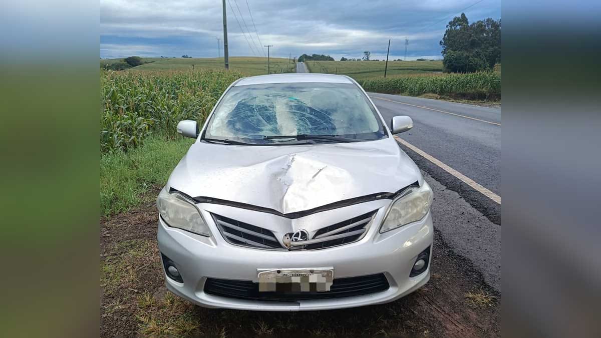 Ivan Maldonado / Notícias Online Equipes dos bombeiros e do Samu atenderam a vítima de atropelamento na PR-082 entre Jardim Alegre e Lunardelli
