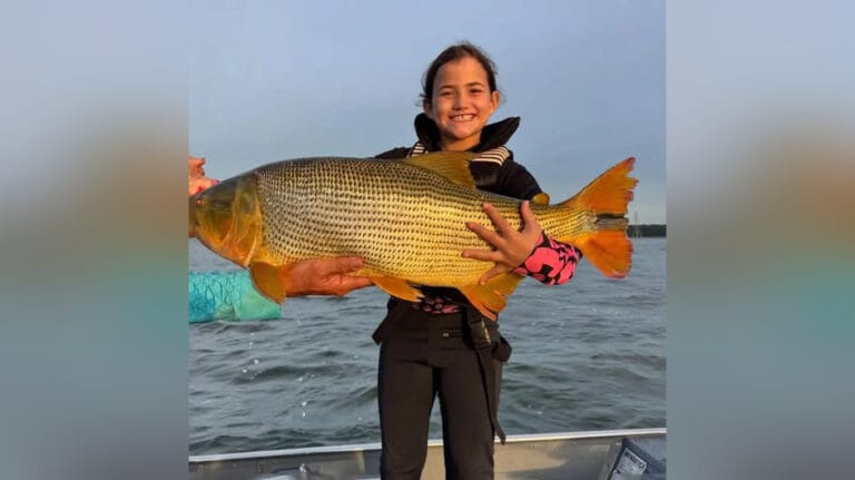 Heloísa segura dourado de 81 centímetros capturado no Rio Paraná em Guaíra