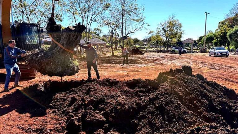Cinco árvores foram destinadas ao IFPR para pesquisas e paisagismo, enquanto outras três já foram plantadas no Lago das Flores.