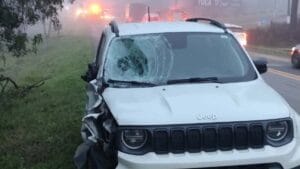 Jeep Renegade com para-brisa quebrado e frente danificada após atropelamento na BR-470, em Pouso Redondo (SC), durante manhã de forte neblina.