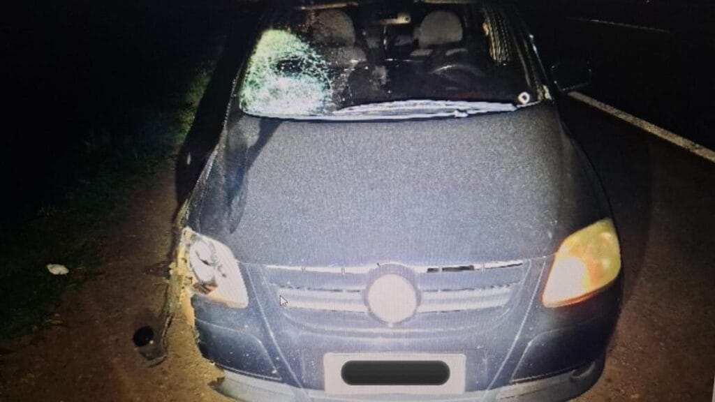 Polícia Rodoviária Estadual durante atendimento de atropelamento na PR-444 em Apucarana.