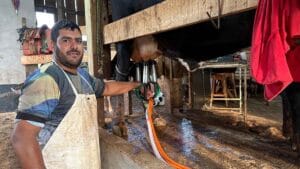 O produtor Bruno Frizon trabalha com produção de leite na localidade Palmeirinha, em Jardim Alegre.