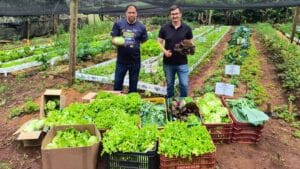 Alunos da Agronomia da Fatec Ivaiporã destinaram as hortaliças para instituições