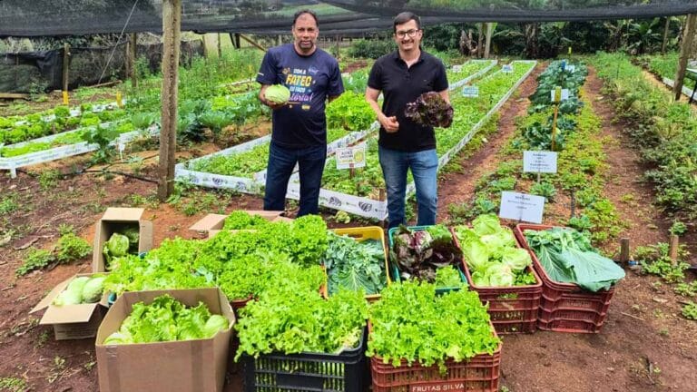 Alunos da Agronomia da Fatec Ivaiporã destinaram as hortaliças para instituições