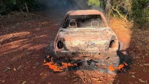 Monza destruído por incêndio em estrada rural de Lunardelli