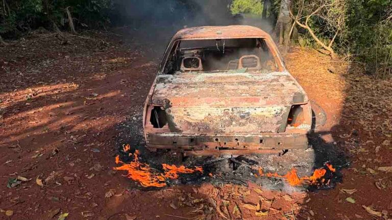 Monza destruído por incêndio em estrada rural de Lunardelli