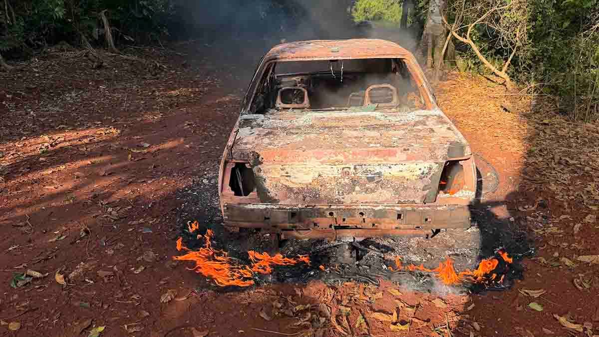 Monza destruído por incêndio em estrada rural de Lunardelli