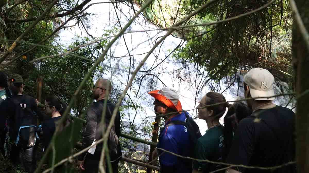 Ivaiporã reúne mais de 800 pessoas na 11ª edição da Caminhada na Natureza Participantes durante a Caminhada na Natureza no Circuito Salto do Bulha em Ivaiporã