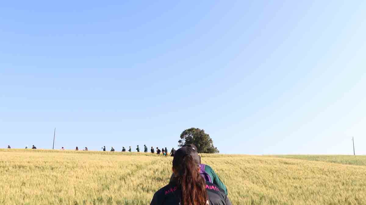 Ivaiporã reúne mais de 800 pessoas na 11ª edição da Caminhada na Natureza Participantes durante a Caminhada na Natureza no Circuito Salto do Bulha em Ivaiporã