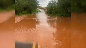 Chuva intensa provocou alagamentos, deslizamentos e elevação dos rios no Vale do Ivaí nesta quinta-feira (10).