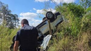 Motorista capota caminhonete e é atacado por abelhas na PR-170, em Apucarana