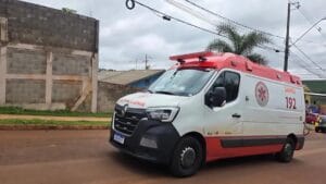 Criança de 8 anos morre após ataque de cachorro em Apucarana