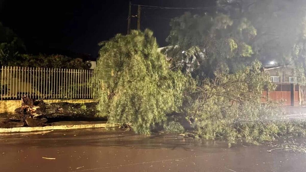 Temporal derruba árvores e destelha casas em Faxinal Temporal com granizo e ventos fortes causou danos em diferentes pontos de Faxinal