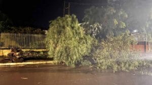 Temporal com granizo e ventos fortes causou danos em diferentes pontos de Faxinal