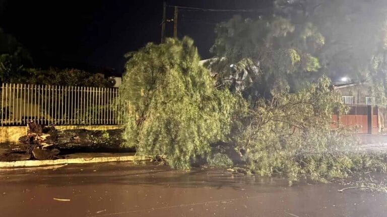 Temporal com granizo e ventos fortes causou danos em diferentes pontos de Faxinal