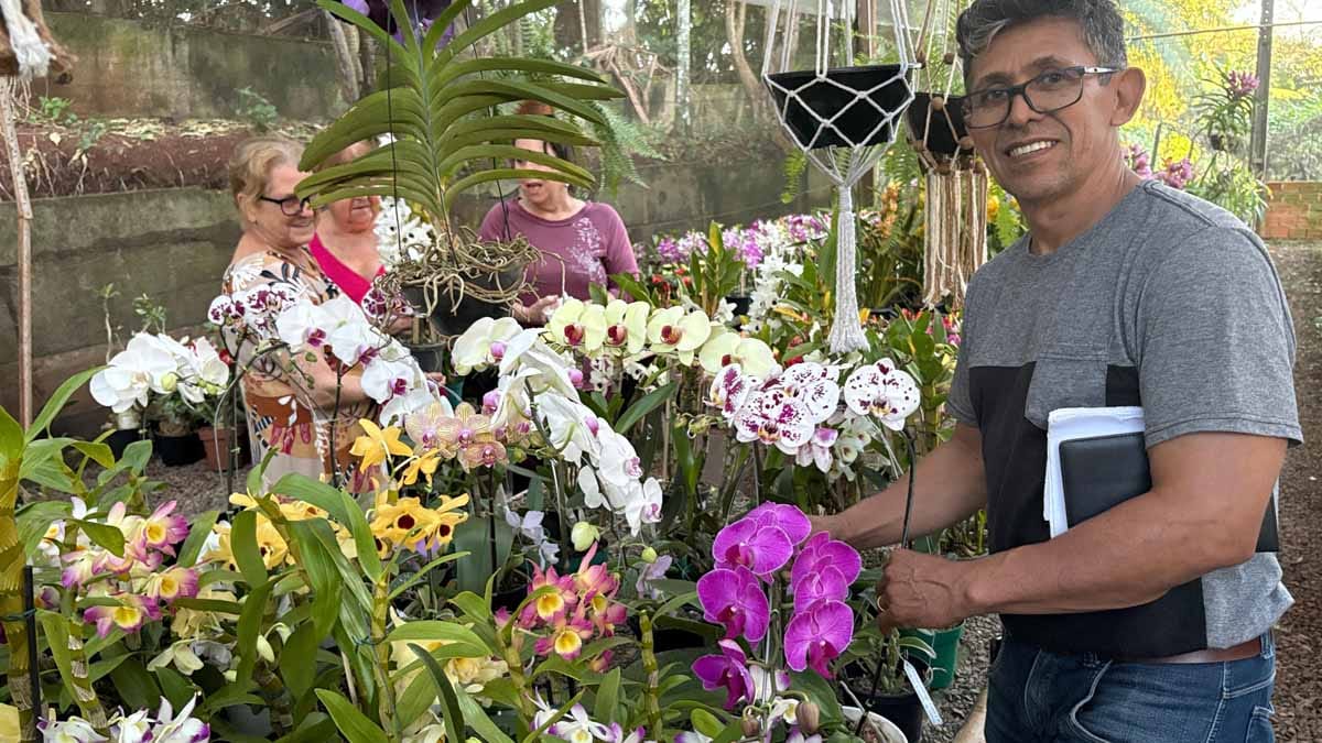 Jardim Alegre mantém tradição de 19 anos com exposição de orquídeas Exposição reúne orquídeas de diferentes espécies e híbridos em Jardim Alegre