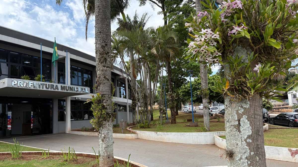 Jardim Alegre mantém tradição de 19 anos com exposição de orquídeas Orquídeas floridas fixadas em árvores em frente ao prédio público de Jardim Alegre