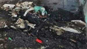Duas crianças foram retiradas da casa pelo tio antes que o incêndio se espalhasse pelo imóvel.