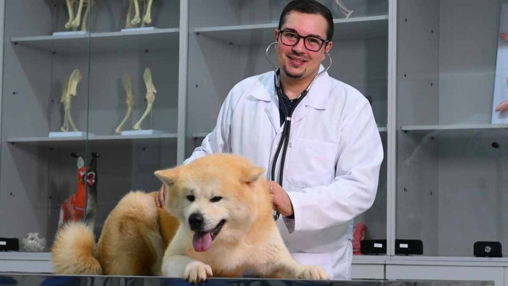 Fatec Ivaiporã abre inscrições para vestibular de Medicina Veterinária com 60 vagas para 2027.