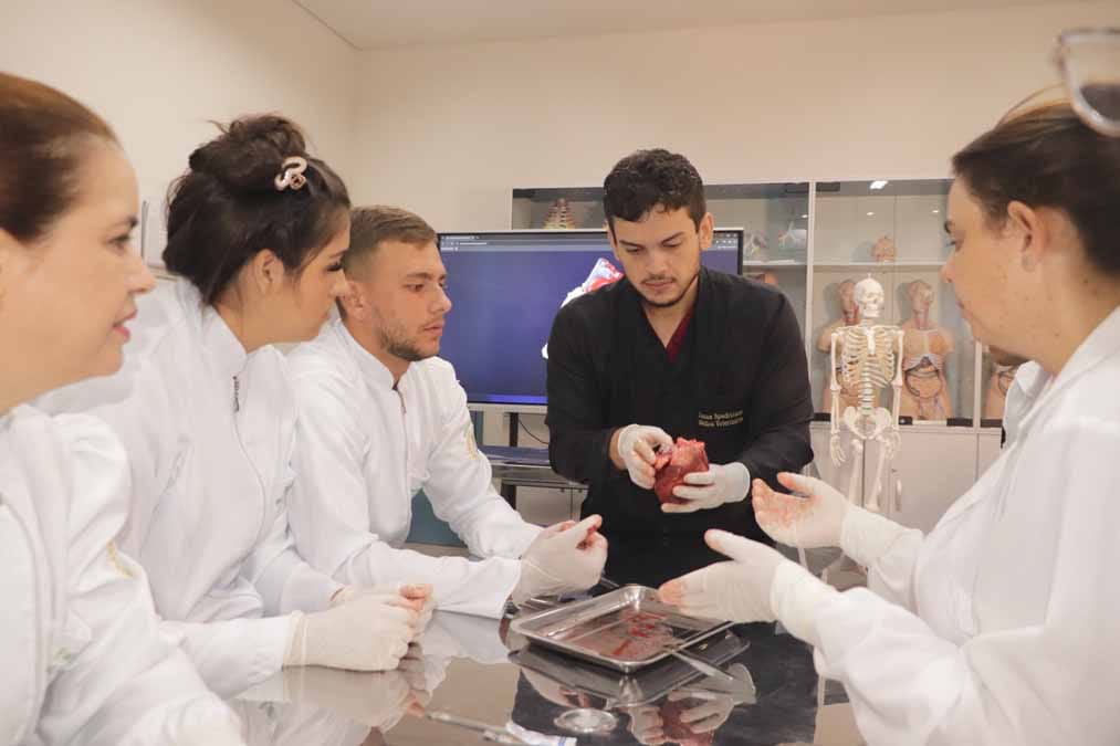 Fatec Ivaiporã abre inscrições para vestibular de Medicina Veterinária com 60 vagas para 2027.