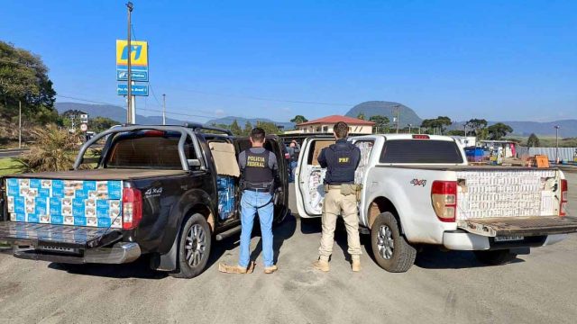 Apreensão maços de cigarro / Foto: PRE