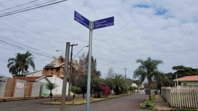 20220802_110421 placas