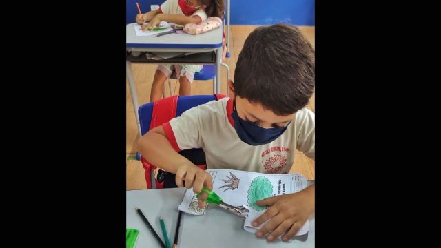 Matrículas e rematrículas