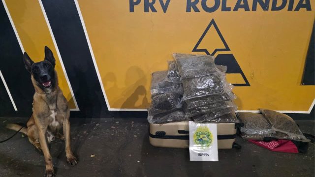 Divulgação / Foto: Polícia Rodoviária