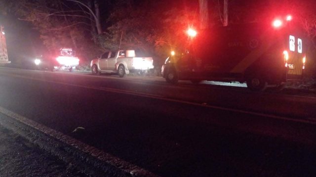 346869951_6190447514398053_6505033238216298001_n O jovem colidiu com uma árvore à margem da rodovia / Foto: WhatsApp